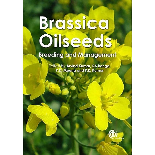 Brassica Oilseeds