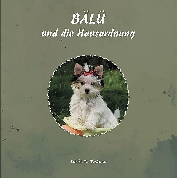 Braun, D: BÄLÜ und die Hausordnung, Doris D. Braun