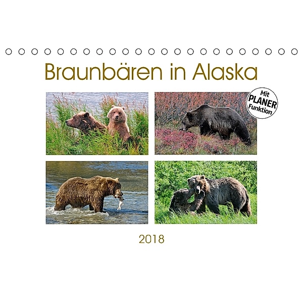 Braunbären in Alaska (Tischkalender 2018 DIN A5 quer), Dieter-M. Wilczek