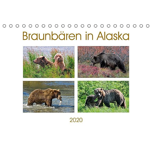 Braunbären in Alaska (Tischkalender 2020 DIN A5 quer), Dieter-M. Wilczek