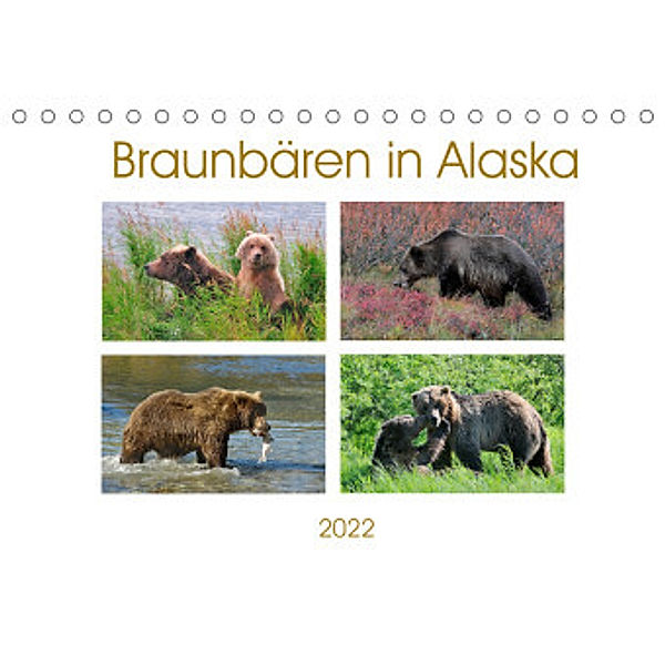 Braunbären in Alaska (Tischkalender 2022 DIN A5 quer), Dieter-M. Wilczek
