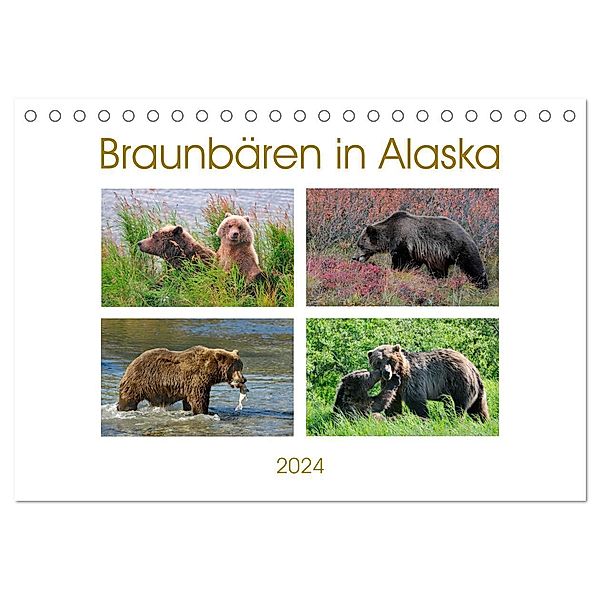 Braunbären in Alaska (Tischkalender 2024 DIN A5 quer), CALVENDO Monatskalender, Dieter Wilczek