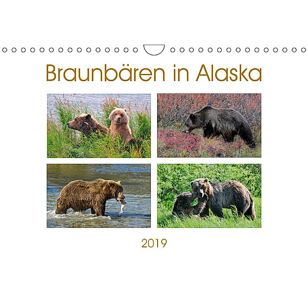 Braunbären in Alaska (Wandkalender 2019 DIN A4 quer), Dieter-M. Wilczek