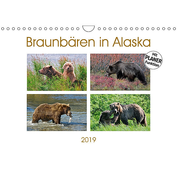 Braunbären in Alaska (Wandkalender 2019 DIN A4 quer), Dieter-M. Wilczek
