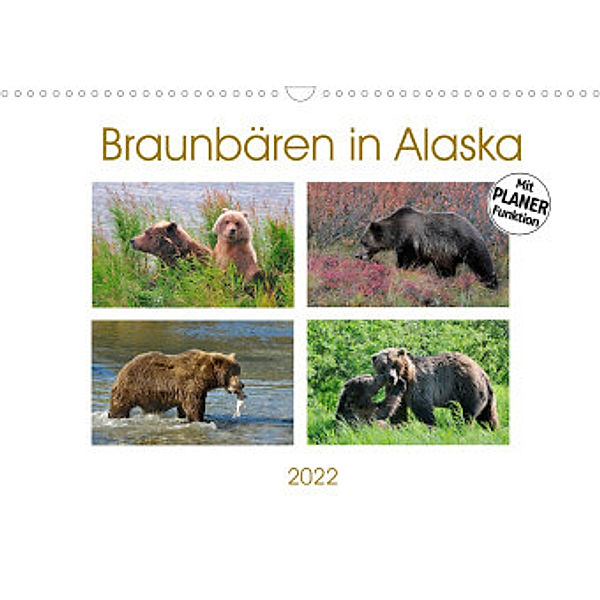 Braunbären in Alaska (Wandkalender 2022 DIN A3 quer), Dieter-M. Wilczek