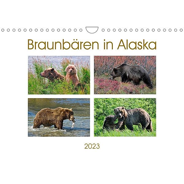 Braunbären in Alaska (Wandkalender 2023 DIN A4 quer), Dieter Wilczek