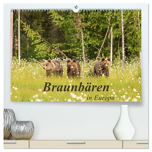 Braunbären in Europa (hochwertiger Premium Wandkalender 2024 DIN A2 quer), Kunstdruck in Hochglanz, Christian Dorn
