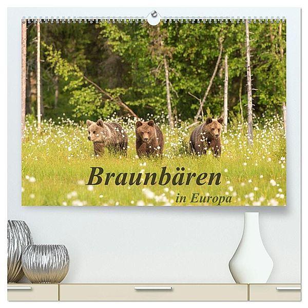 Braunbären in Europa (hochwertiger Premium Wandkalender 2025 DIN A2 quer), Kunstdruck in Hochglanz, Calvendo, Christian Dorn