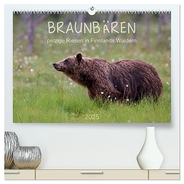 Braunbären - pelzige Riesen in Finnlands Wäldern (hochwertiger Premium Wandkalender 2025 DIN A2 quer), Kunstdruck in Hochglanz, Calvendo, © Sandra Eigenheer