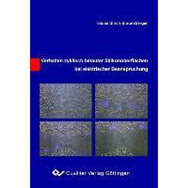 Braunsberger, T: Verhalten zykl. betauter Silikonoberflächen, Tobias Ulrich Braunsberger