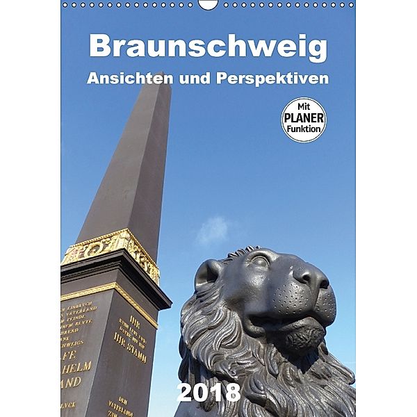 Braunschweig Ansichten und Perspektiven (Wandkalender 2018 DIN A3 hoch), Ralf Schröer