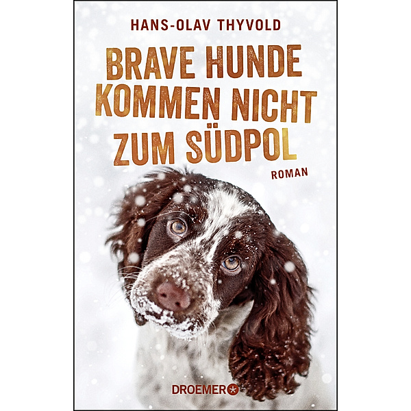 Brave Hunde kommen nicht zum Südpol, Hans-Olav Thyvold