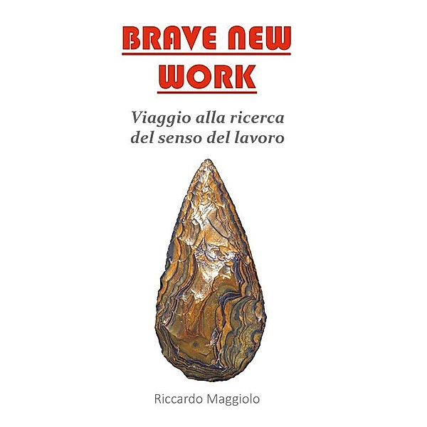 Brave New Work, Riccardo Maggiolo