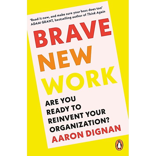 Brave New Work, Aaron Dignan