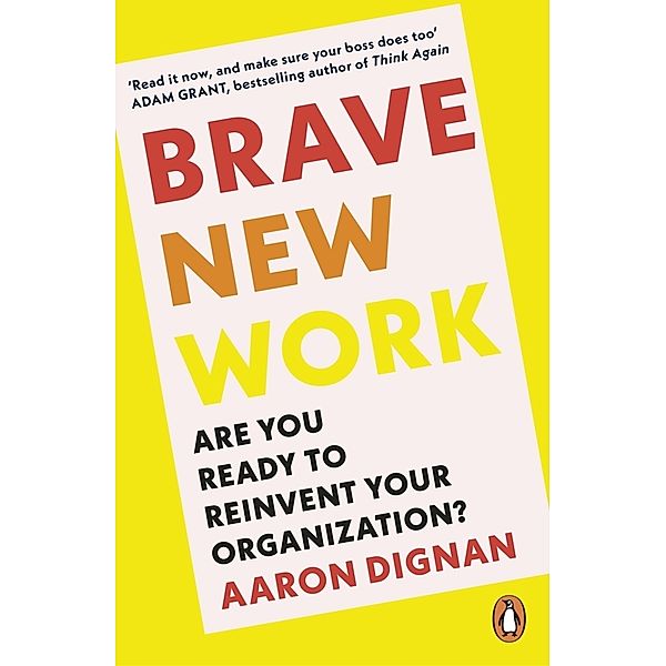 Brave New Work, Aaron Dignan