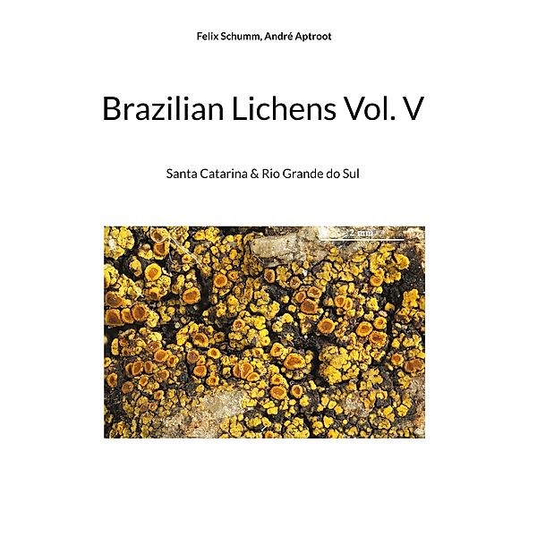 Brazilian Lichens Vol V, Felix Schumm, André Aptroot