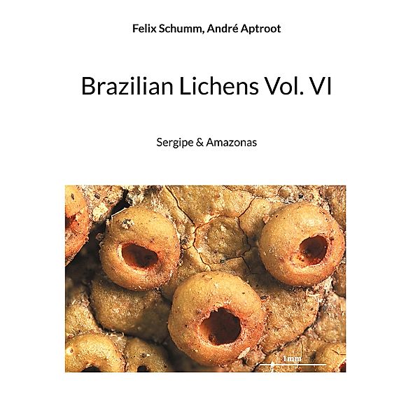 Brazilian Lichens Vol. VI, Felix Schumm, André Aptroot