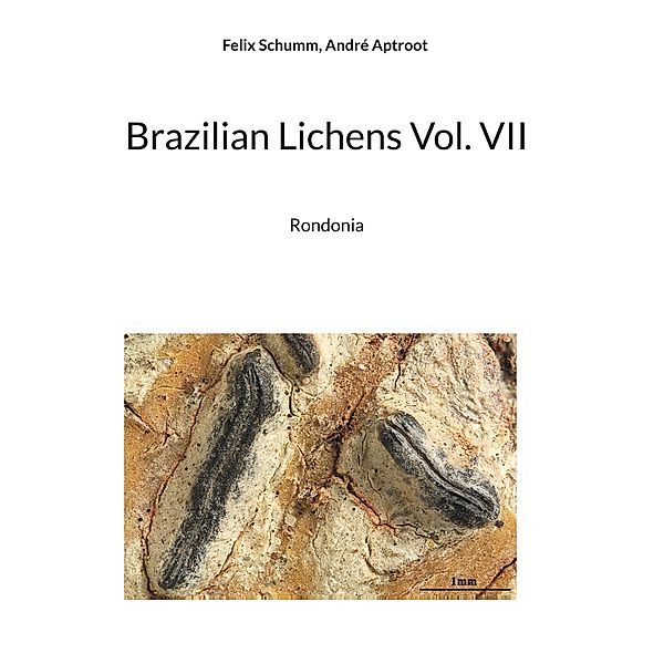Brazilian Lichens Vol. VII, Felix Schumm, André Aptroot