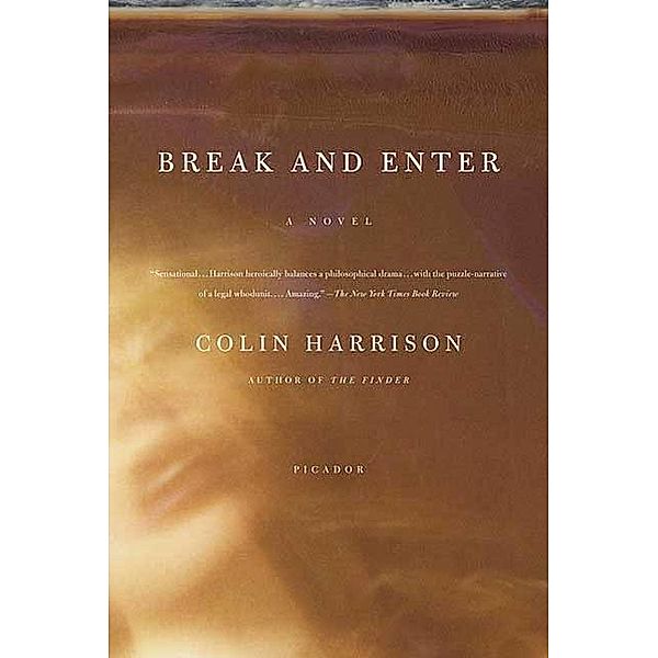 Break and Enter, Colin Harrison