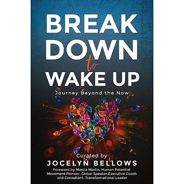 Break Down to Wake Up: Journey Beyond the Now, Jocelyn Bellows, Jason Kendrick, Lisa Berry, Tomas Garza, Brice Hancock, Kevin Lockwood, Gurleen Khokhar, Arlene Wallace, Marcia Martin, Dawn Bates, Stephan Neff, Paul Honeycutt, Dannie-Lu Carr, Geoff Laughton, Patrick Cooke, Renelle McPherson