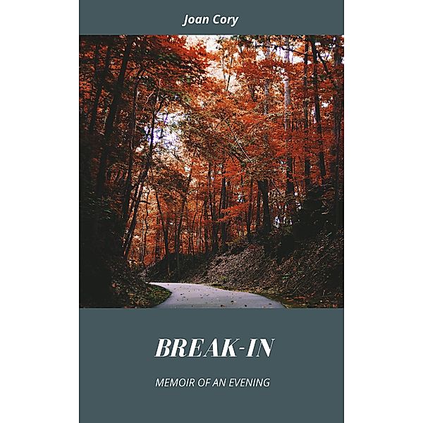 Break-In: Memoir of an Evening, Joan Cory