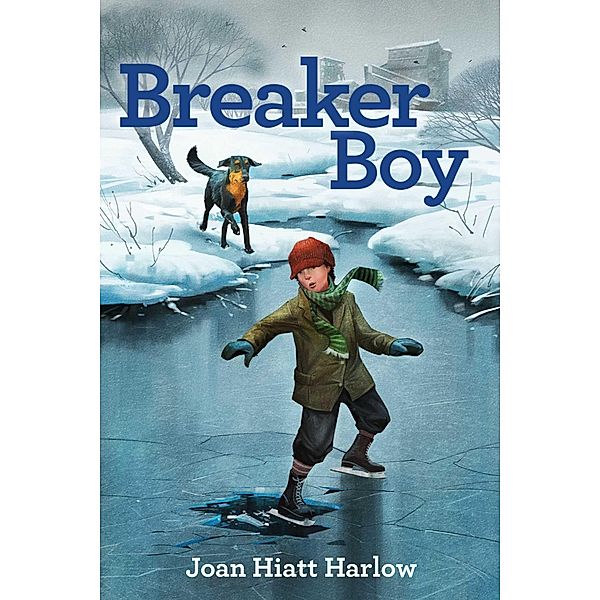 Breaker Boy, Joan Hiatt Harlow