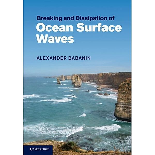 Breaking and Dissipation of Ocean Surface Waves, Alexander Babanin