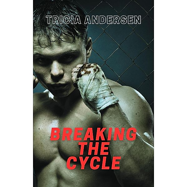 Breaking the Cycle (Hard Drive, #2) / Hard Drive, Tricia Andersen