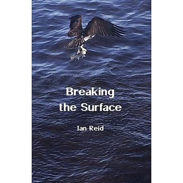 Breaking the Surface, Ian Reid
