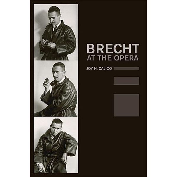 Brecht at the Opera, Joy Haslam Calico