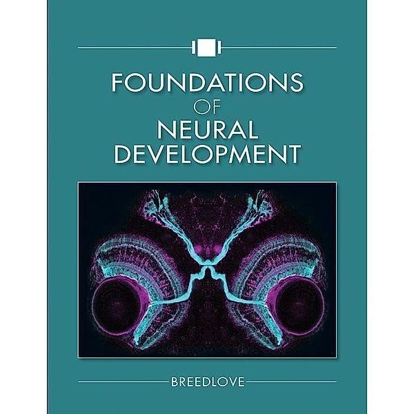 Breedlove, S: Foundations of Neural Development, S. Marc Breedlove