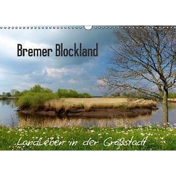 Bremer Blockland - Landleben in der Großstadt (Wandkalender 2015 DIN A3 quer), Lucy M. Laube