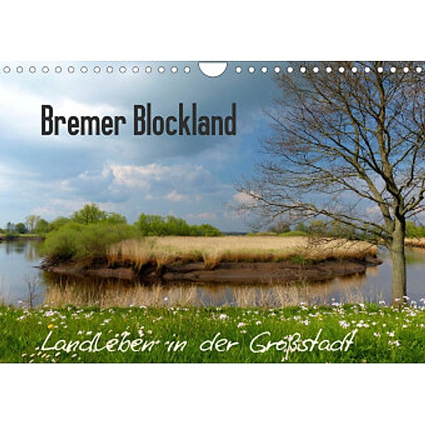 Bremer Blockland - Landleben in der Großstadt (Wandkalender 2022 DIN A4 quer), Lucy M. Laube