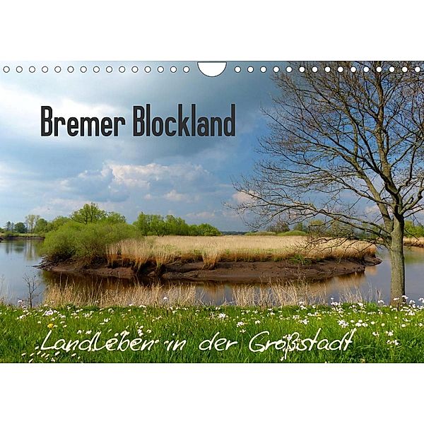 Bremer Blockland - Landleben in der Großstadt (Wandkalender 2023 DIN A4 quer), Lucy M. Laube