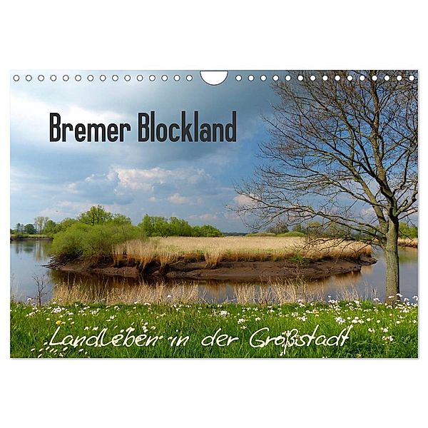 Bremer Blockland - Landleben in der Grossstadt (Wandkalender 2024 DIN A4 quer), CALVENDO Monatskalender, Lucy M. Laube