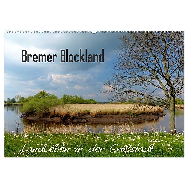 Bremer Blockland - Landleben in der Grossstadt (Wandkalender 2024 DIN A2 quer), CALVENDO Monatskalender, Lucy M. Laube