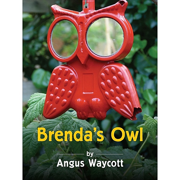 Brenda's Owl, Angus Waycott