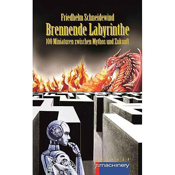 BRENNENDE LABYRINTHE, Friedhelm Schneidewind