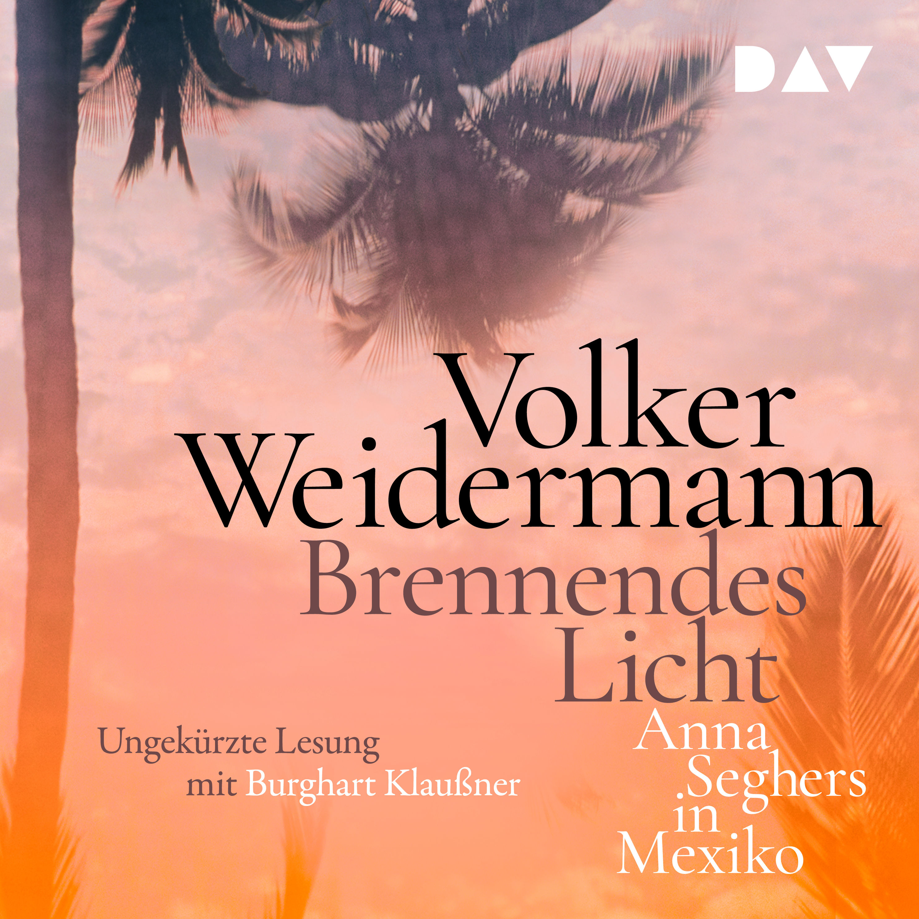 Brennendes Licht. Anna Seghers in Mexiko Hörbuch Download
