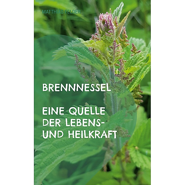 Brennnessel, Matthias Felder