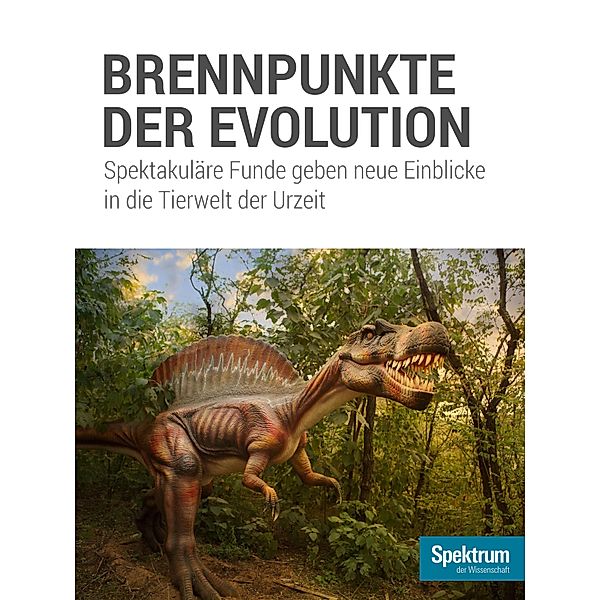 Brennpunkte der Evolution / Spektrum Spezial - Biologie, Medizin, Hirnforschung