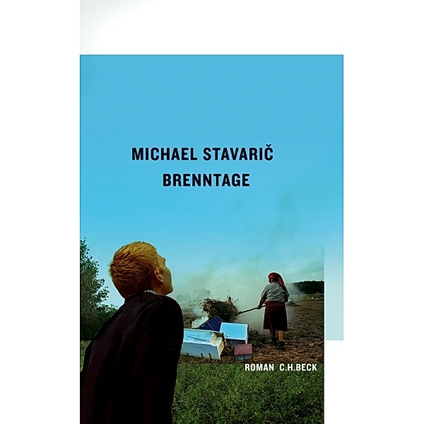 Brenntage, Michael Stavaric