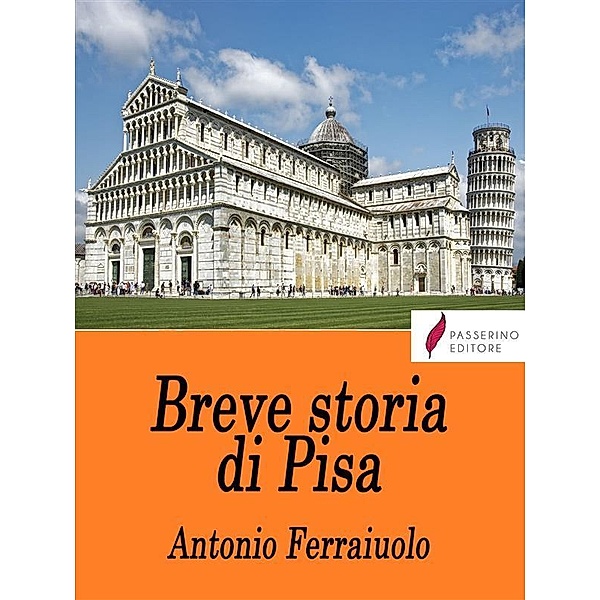 Breve storia di Pisa, Antonio Ferraiuolo