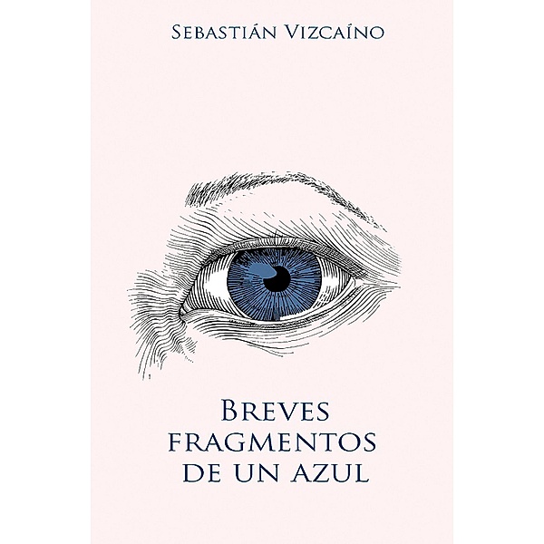 Breves fragmentos de un azul, Sebastián Vizcaíno
