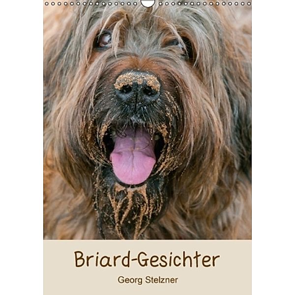 Briard-Gesichter (Wandkalender 2016 DIN A3 hoch), Georg Stelzner