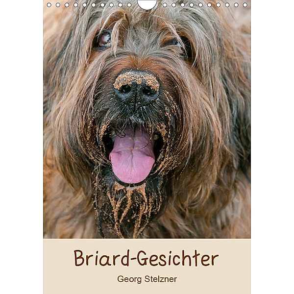 Briard-Gesichter (Wandkalender 2020 DIN A4 hoch), Georg Stelzner