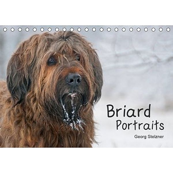 Briard Portraits (Tischkalender 2020 DIN A5 quer), Georg Stelzner