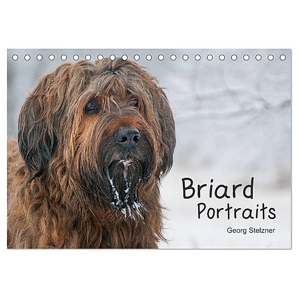 Briard Portraits (Tischkalender 2024 DIN A5 quer), CALVENDO Monatskalender, Georg Stelzner