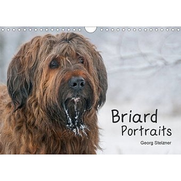 Briard Portraits (Wandkalender 2020 DIN A4 quer), Georg Stelzner