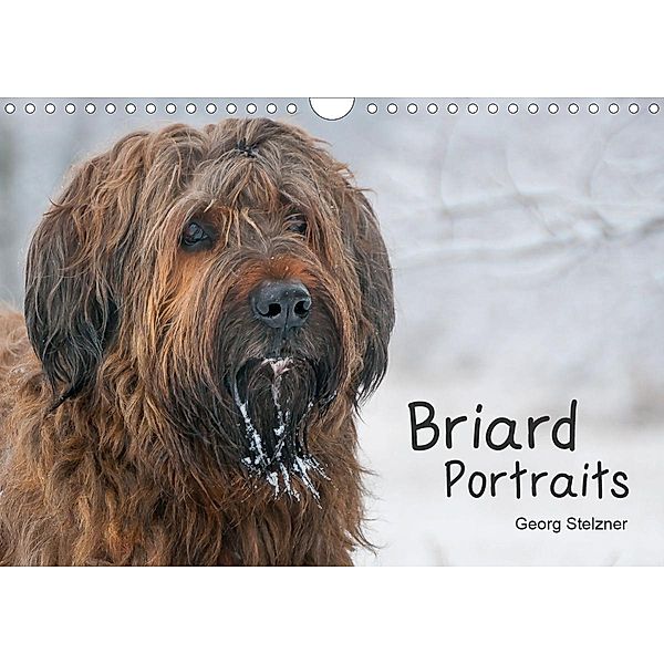 Briard Portraits (Wandkalender 2021 DIN A4 quer), Georg Stelzner